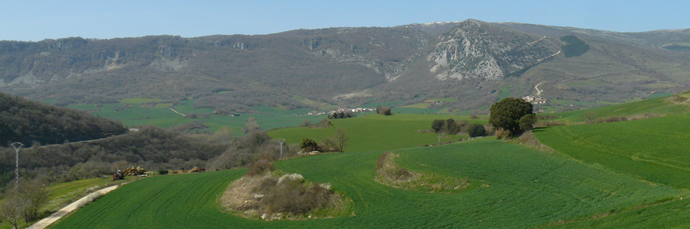 Inicio Ayuntamiento de Ollo / Olloko Udala